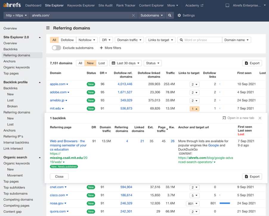 Referring domains report