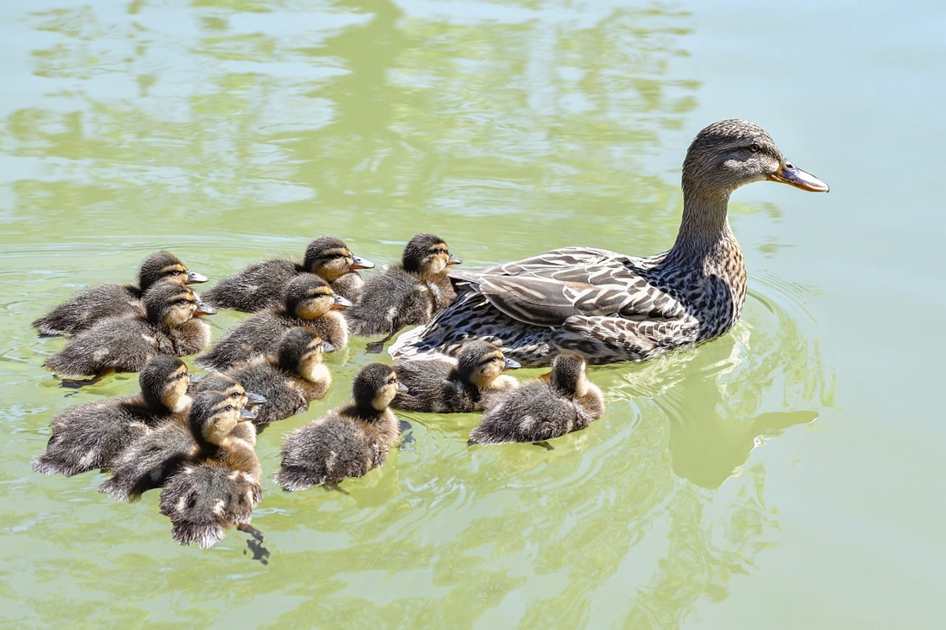 Evento criado com eventbrite.com