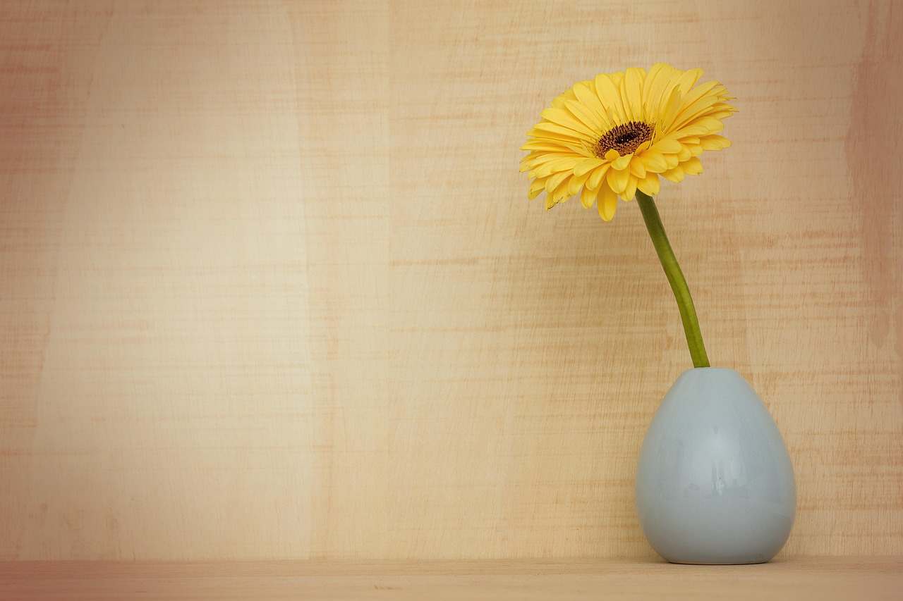 O pico inicial no tráfego é seguido por um fluxo consistente de tráfego adquirido organicamente
