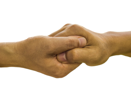 Buscando oportunidades de links internos com o site: operador