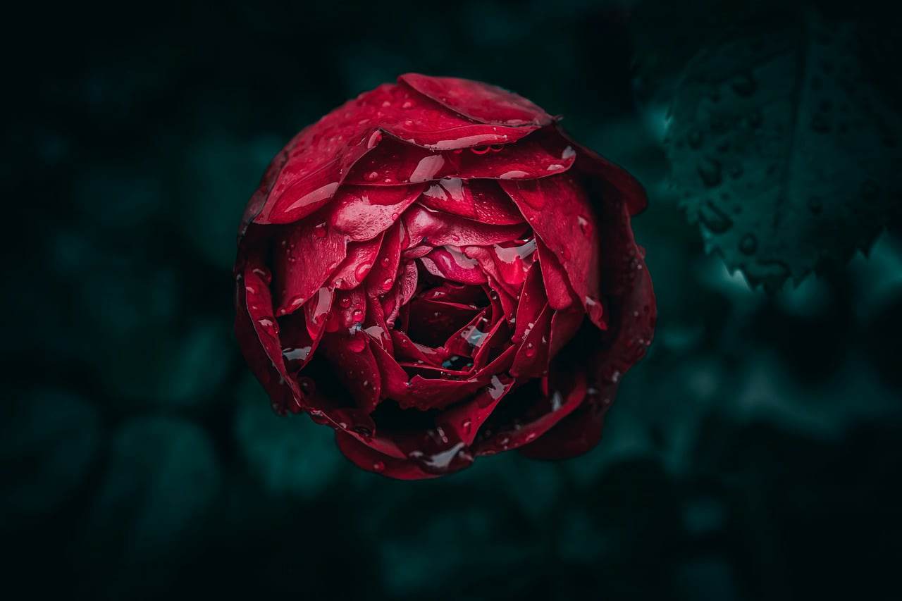 Navegar na tela de consentimento OAuth