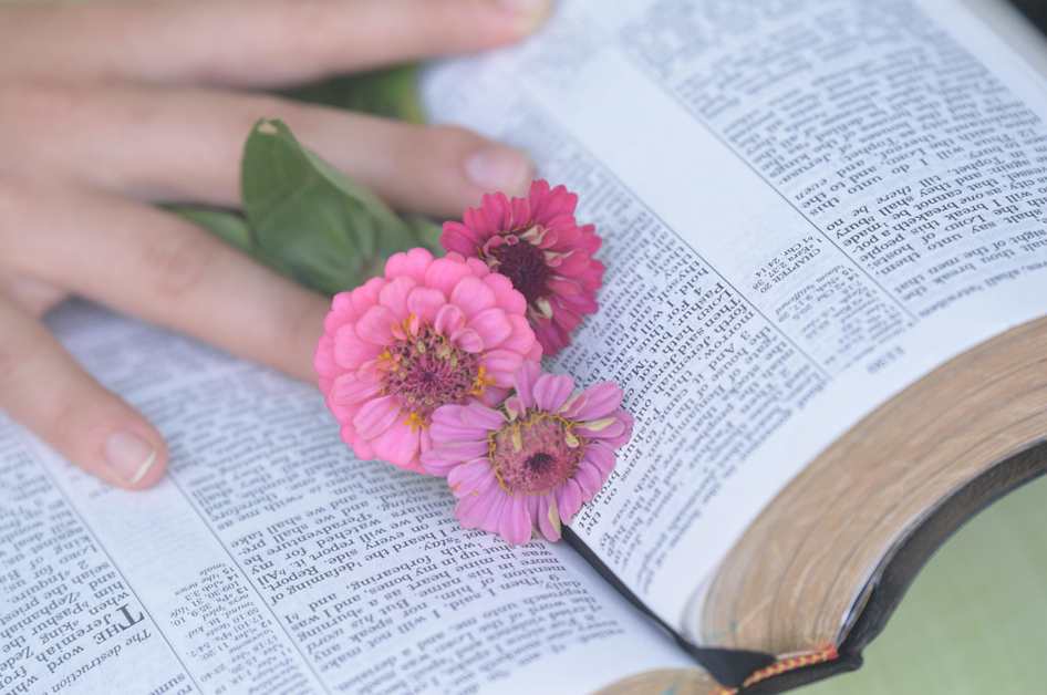 Valantic7 800x553