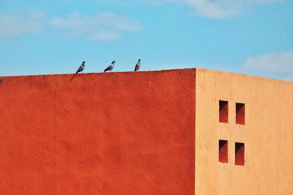 Como recompensar seus melhores afiliados de maneiras não monetárias