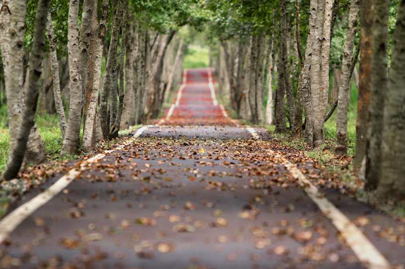 9 segredos de marketing de afiliados que farão você ganhar mais dinheiro